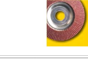 Fächerschleifscheibe für Winkelschleifer, Durchmesser 50 mm, Bohrung 6 mm, Körnung 80