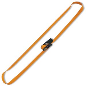 Endlos-Zurrsysteme LC 800 kg mit Spannratsche, Gurt aus hochfestem Polyester (PES), 1,5 m