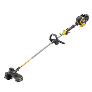 54V XR FLEXVOLT Brushless Rasentrimmer/Freischneider 38 cm, Basisversion